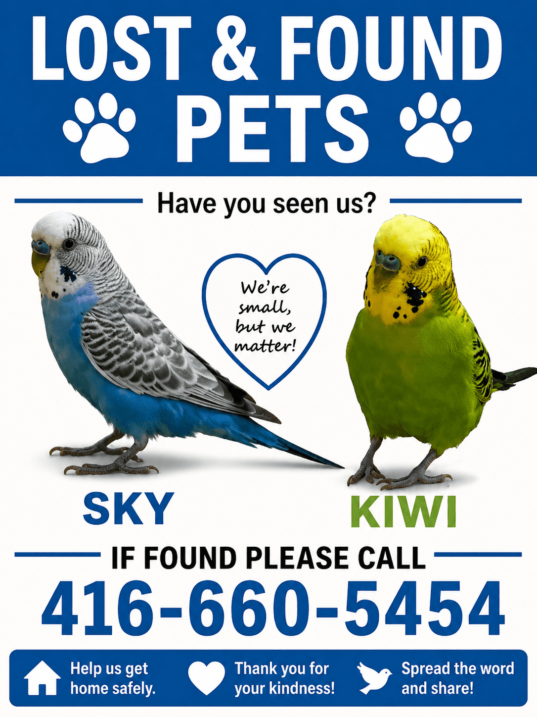 LOST Budgie in toronto — Lost Pet Budgies at near 77 Davisville ave